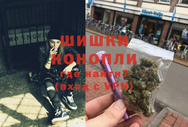 прущие грибы Мегион