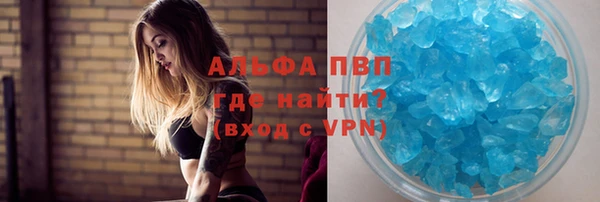 гашик Михайлов