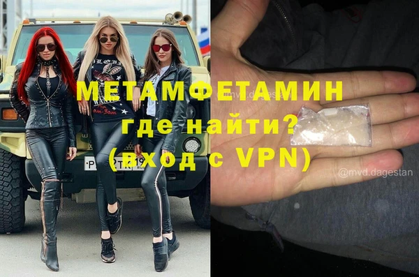 прущие грибы Мегион