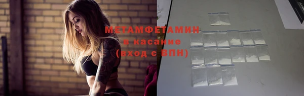шишки Апатиты