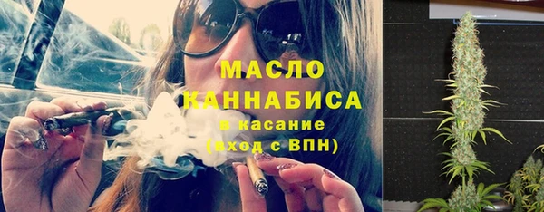 гашик Михайлов