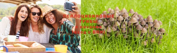 бутират Медногорск