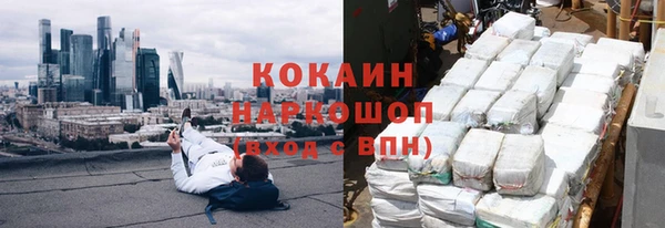 гашик Михайлов