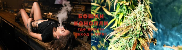прущие грибы Мегион